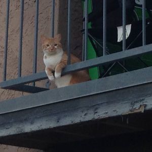 Meet your Posher, Jon